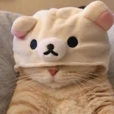 Sana Mir avatar